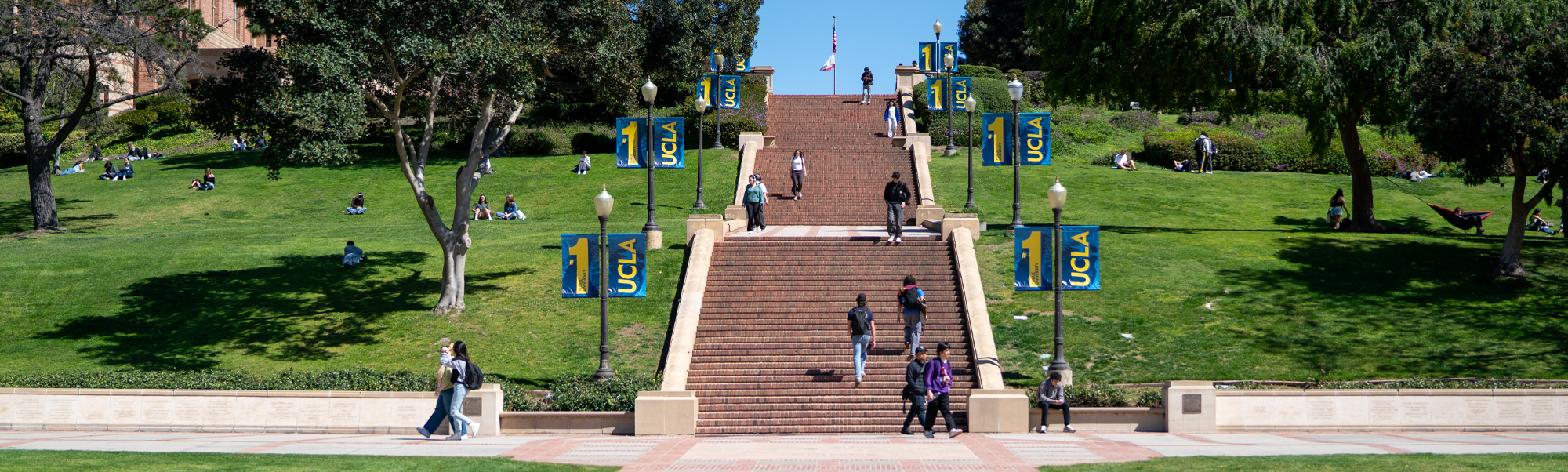 Janss Steps