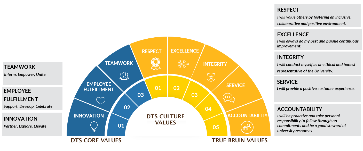 DTS core values