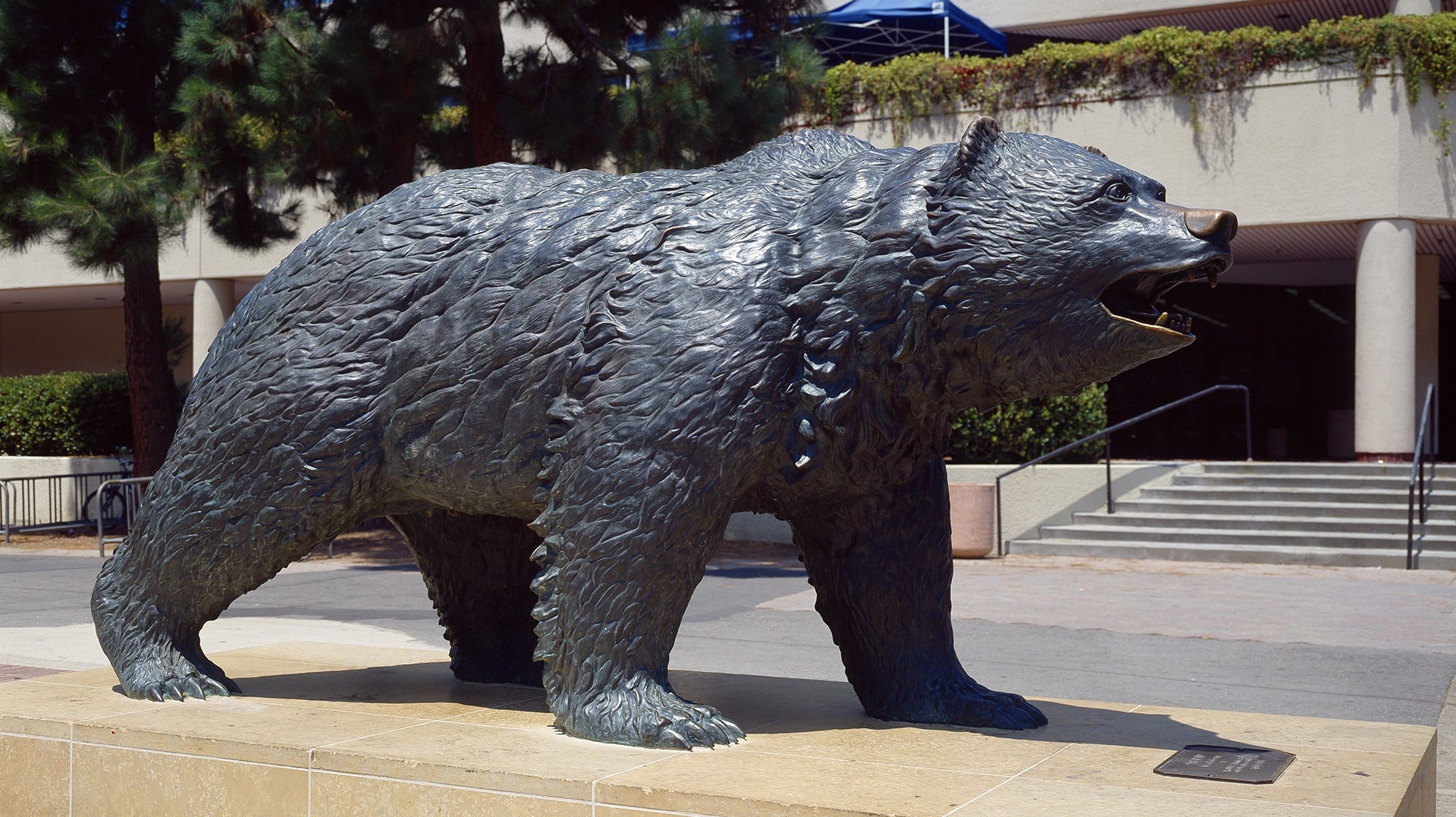 Bruin bear statue near a building with trees in background.