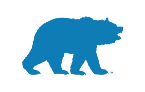Bruin Learn Logo