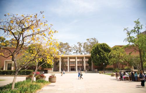 UCLA Campus
