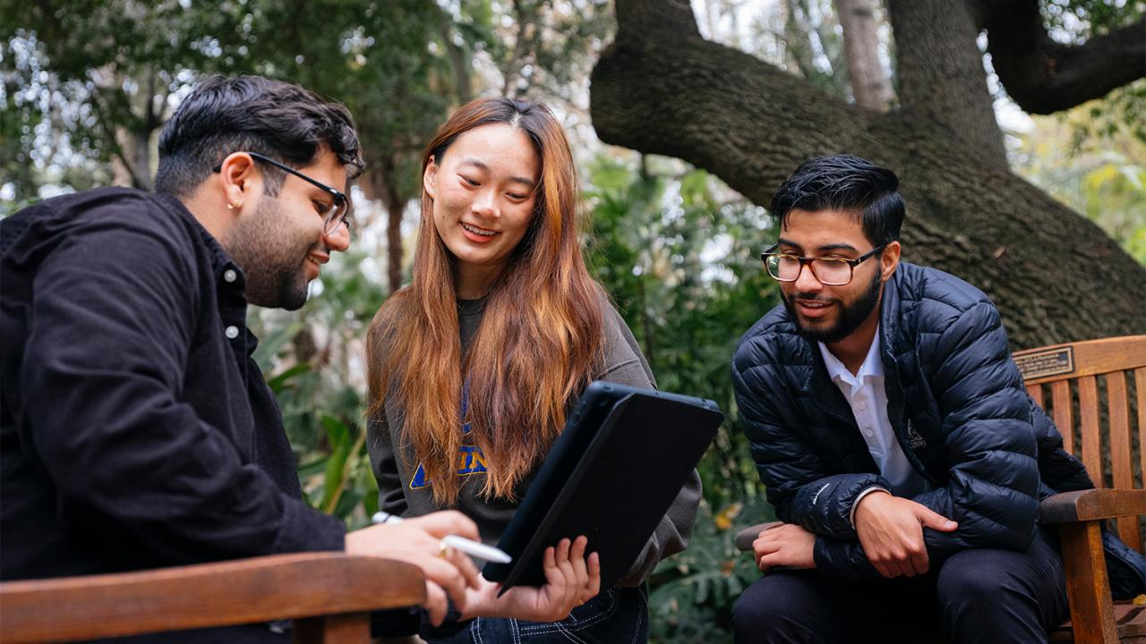 Three people collaborating outside.