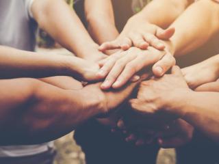 Hands coming together in a circle