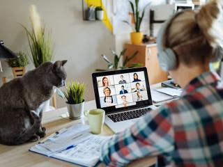 Person on video call wearing headphones, cat sitting nearby.